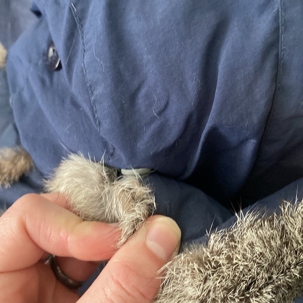 Blue Trapper Hat with Fur Trim - Picture 6 of 9